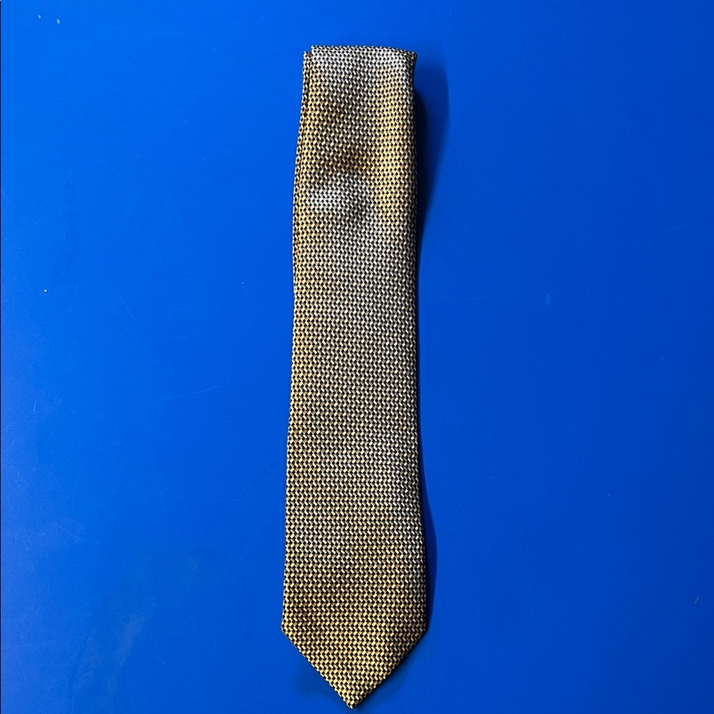 Brioni Sophisticated Gold and Black Tie